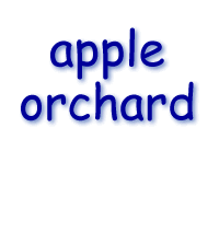 Apple Orchard
