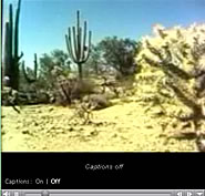 desert biome photograph