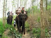 Laos ElephantRiding NoSaddleSittingOnNeck2 04212013